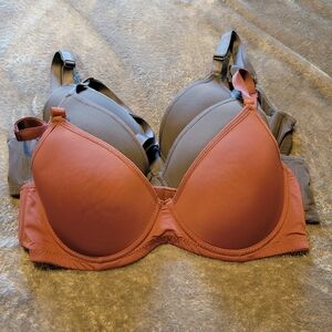 SHEIN Push-Up Bra Bundle 36B